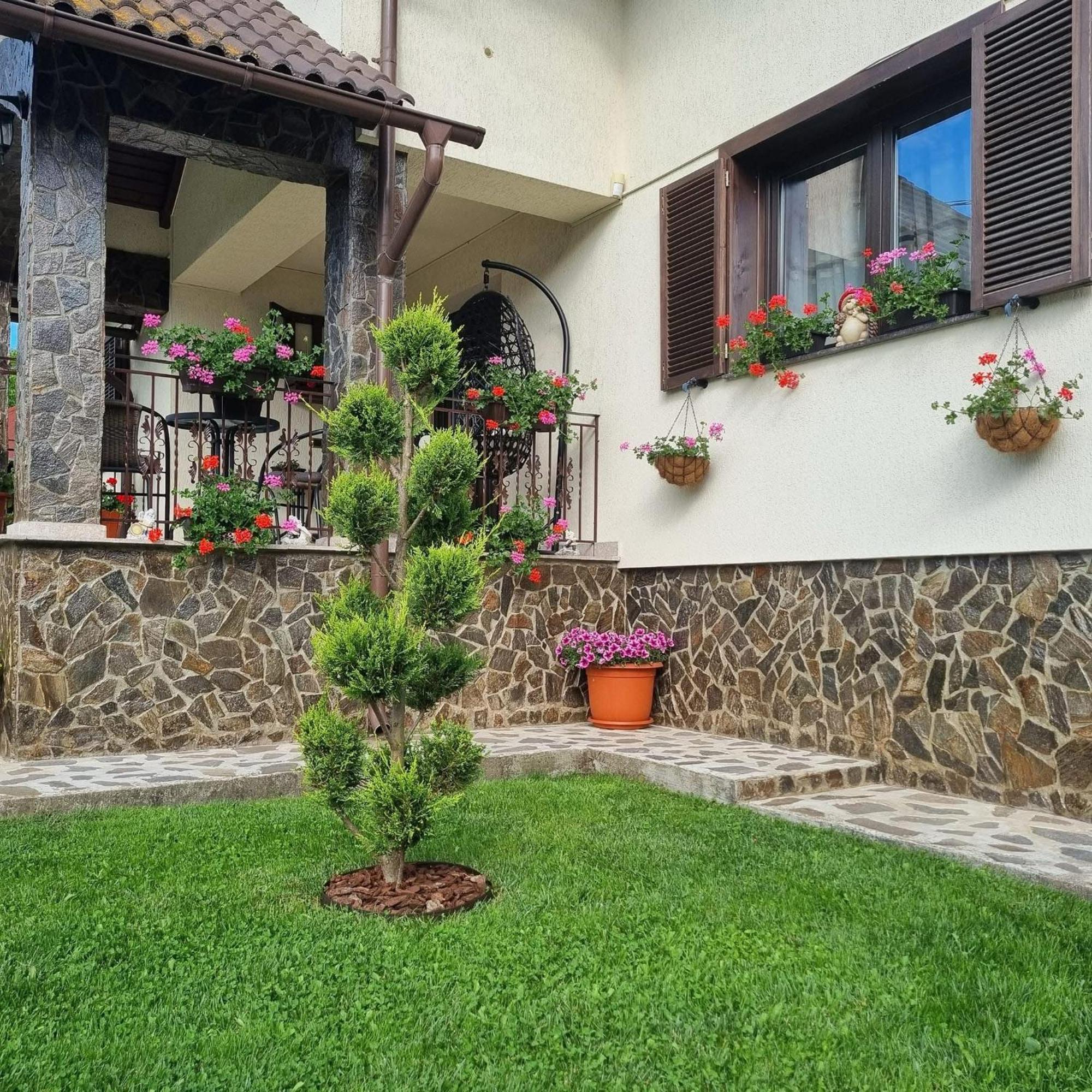 Pensiunea Select Curtea de Argeş Exterior foto